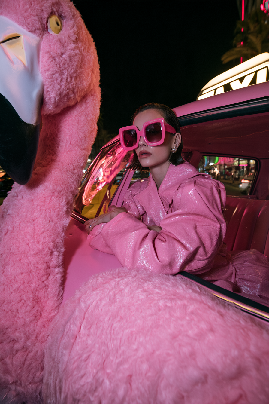 Flamingo-Limousine